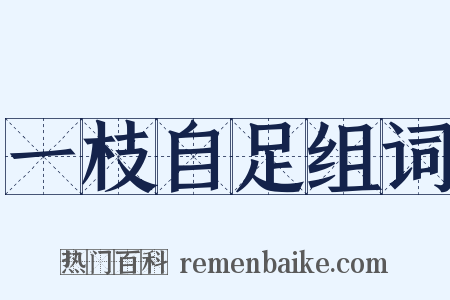 一枝自足组词是什么意思的图片